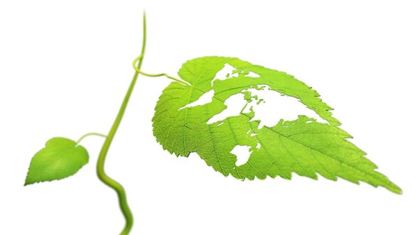 RSE : responsabilit&eacute; environnementale