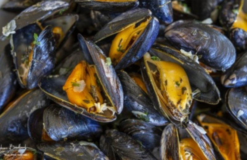 Les Moules Marinières