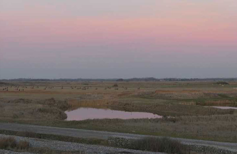 Balade Slow Life en pleine nature : éloge de la lenteur