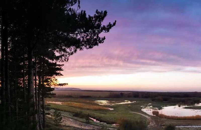 Soirée découverte et contemplation au parc du Marquenterre