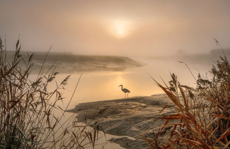 Discovery of the bay