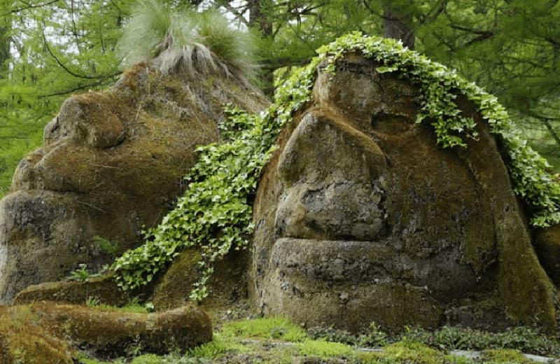 Quand la forêt se raconte