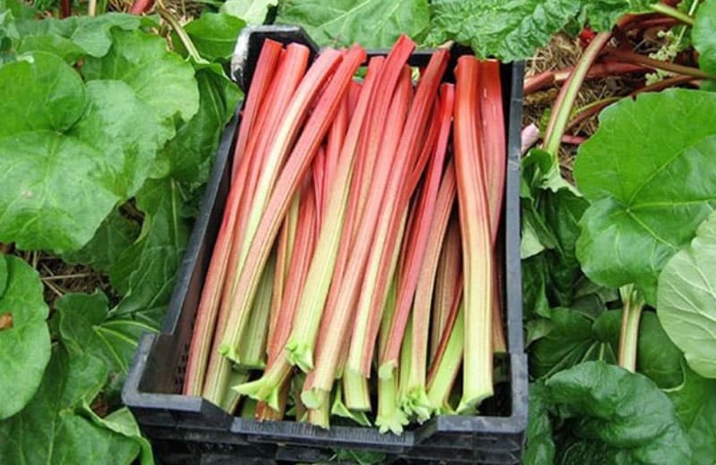 Domaine de la Source