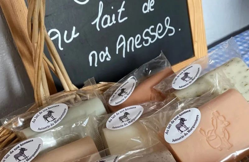 Asinerie du Marquenterre