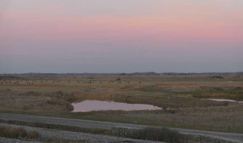 Slow Life walk in the countryside