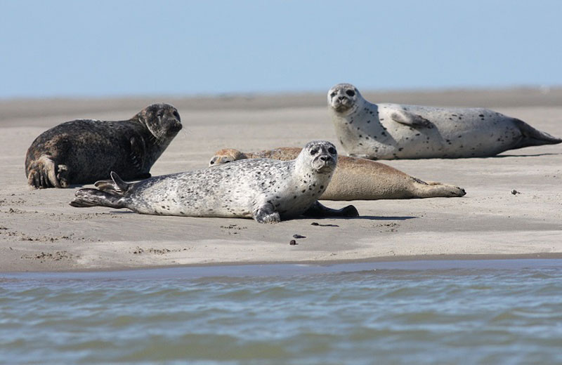 Quelques consignes de sécurité