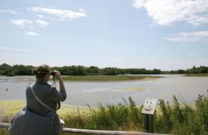 Le Parc du Marquenterre