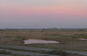 Balade Slow Life en pleine nature