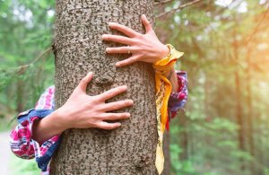 Sylvothérapie : Bain de forêt avec les éléments