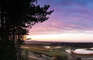 Soirée découverte et contemplation au parc du Marquenterre