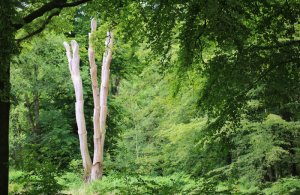Bureau d'information touristique de Crécy-en-Ponthieu