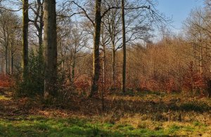 La Marque Qualité Tourisme