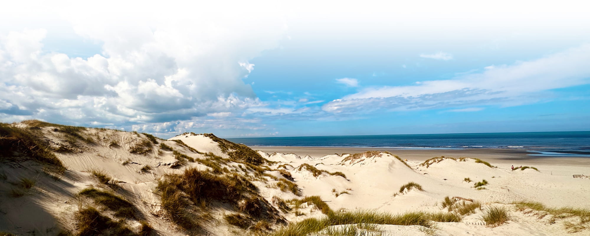 Merveilleuses évasions