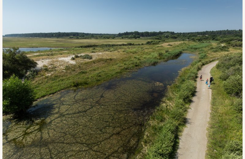 -® Teddy Henin-9063