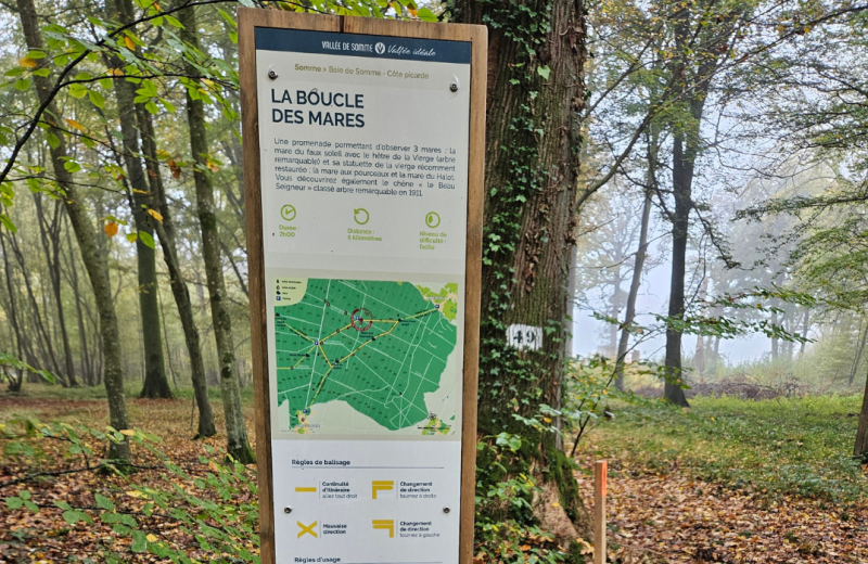 Rando La boucle des Mares forêt de Crécy