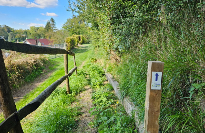 La Trie Enchantée Toeufles