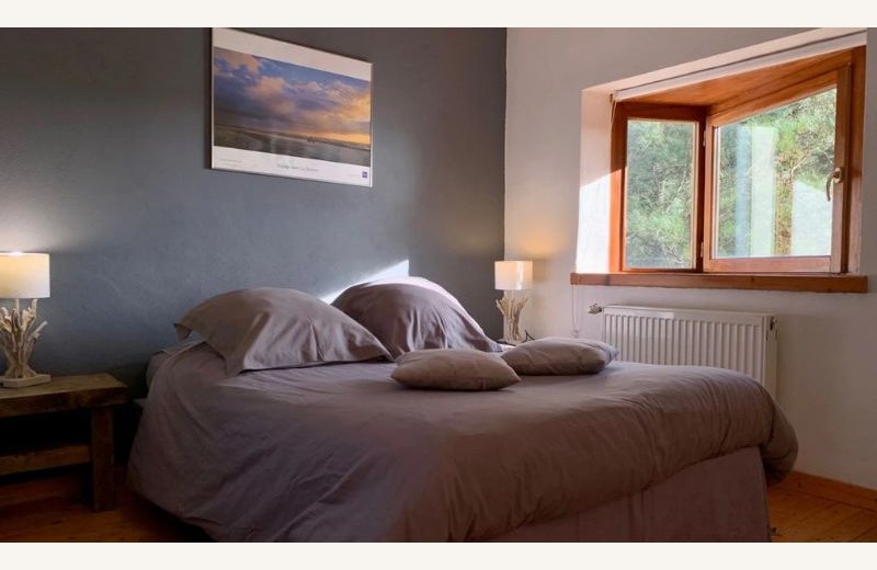 Dimensions photos SIM et site Internet - 2