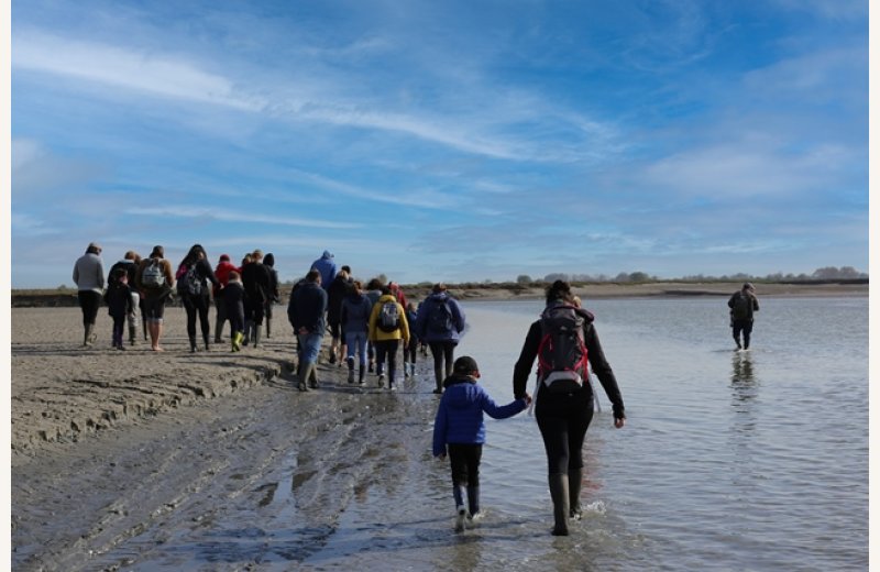 Balade guidée en Baie de Somme