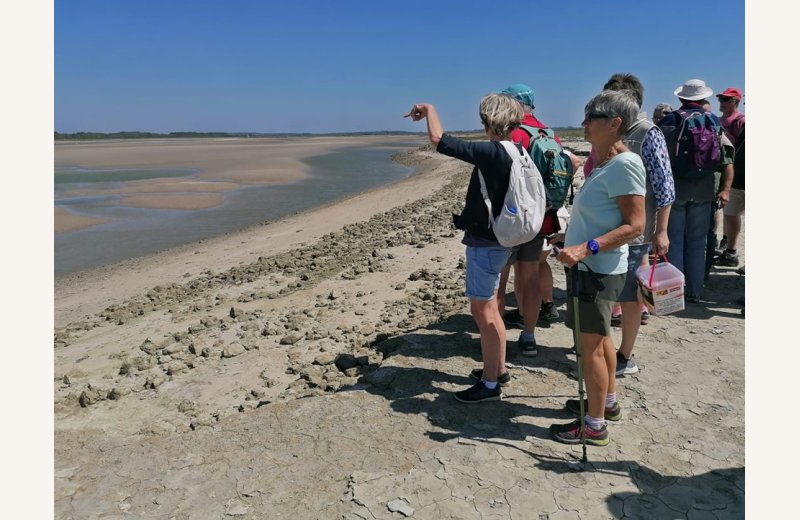 481069501 1058745209612982 1453406646994245967 n