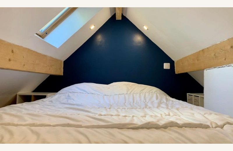 Dimensions photos SIM et site Internet - 5