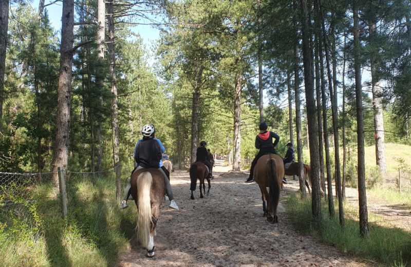 Randonnée équestre Les Crocs chevaux