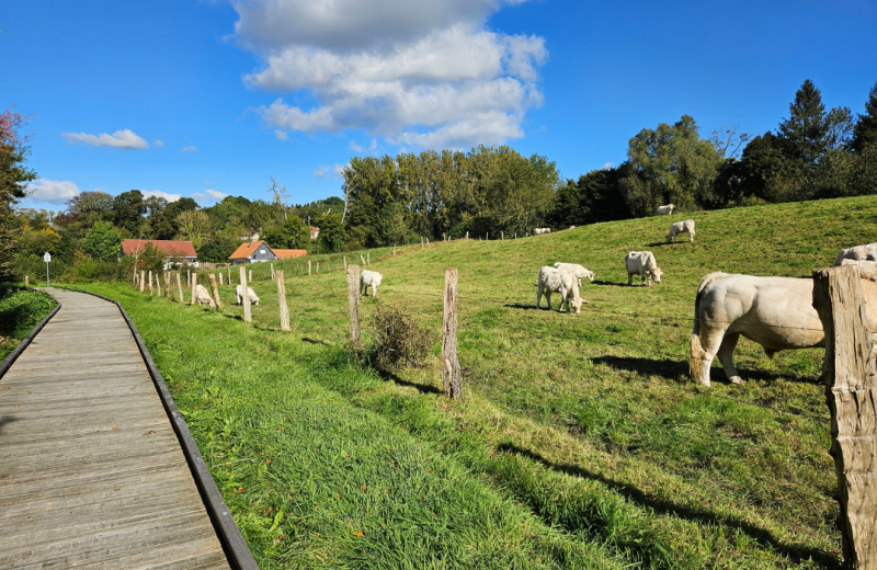 La Trie Enchantée Rogeant passerelle