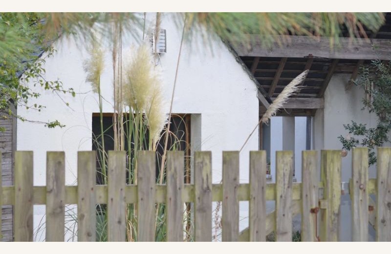 Dimensions photos SIM et site Internet - 8