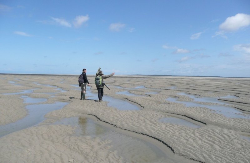 ASCPIC080FS00064 Sens Naturel Crotoy Somme Picardie (5)