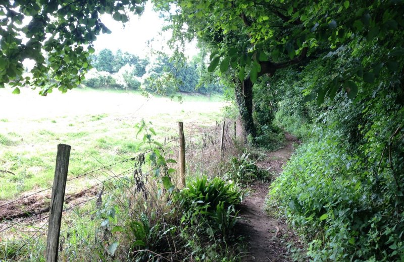 Argoules chemin-escarpé©SommeTourisme-DM