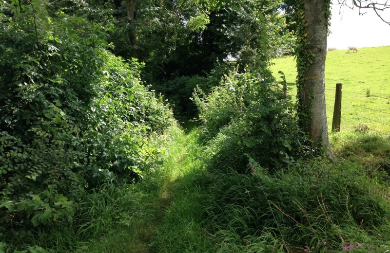 Argoules cheminsousréservoir©SommeTourisme-DM