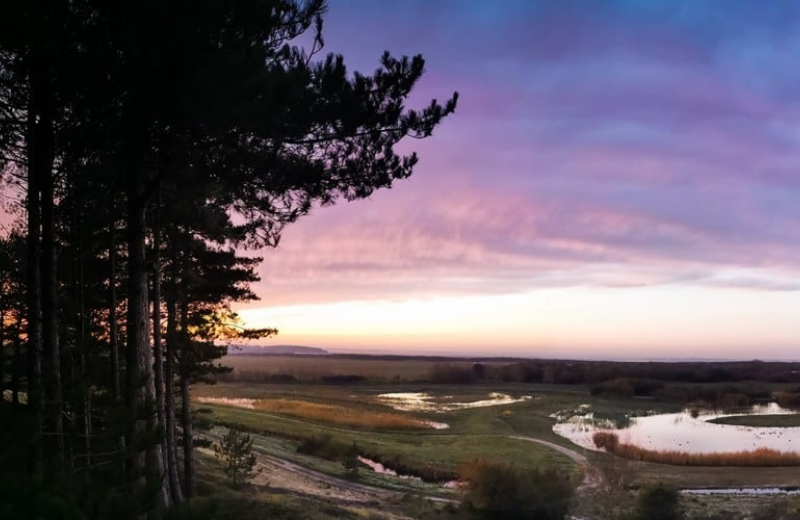 BIEN-ETRE Dimensions photos SIM  - Soirée découverte Parc ©ParcduMarquenterre  Alexander Hiley