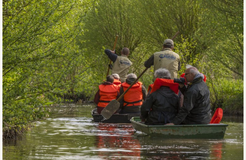 Barques Mareuil Caubert Festival 2015 009-800x533