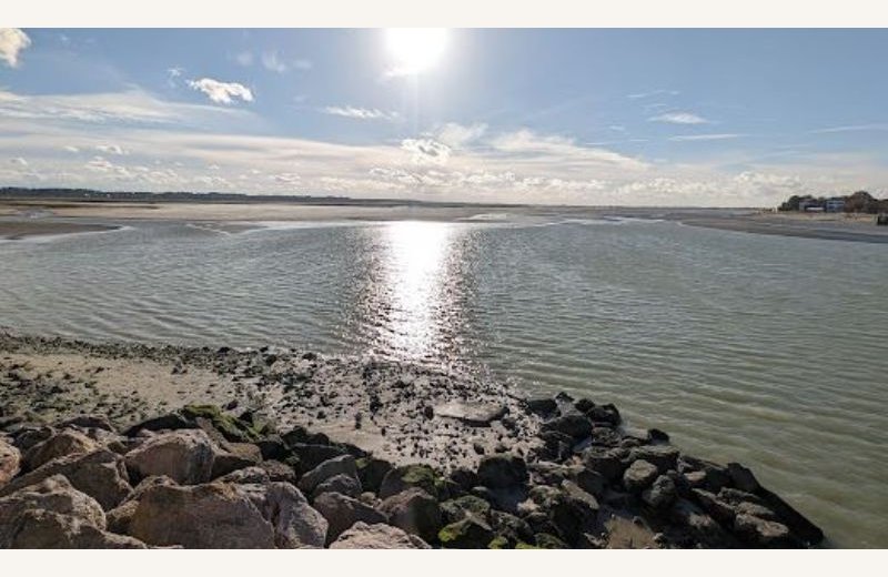 Belvédères manessier