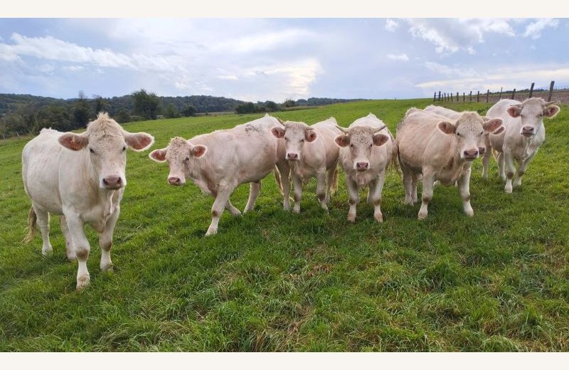 ferme saint jean long