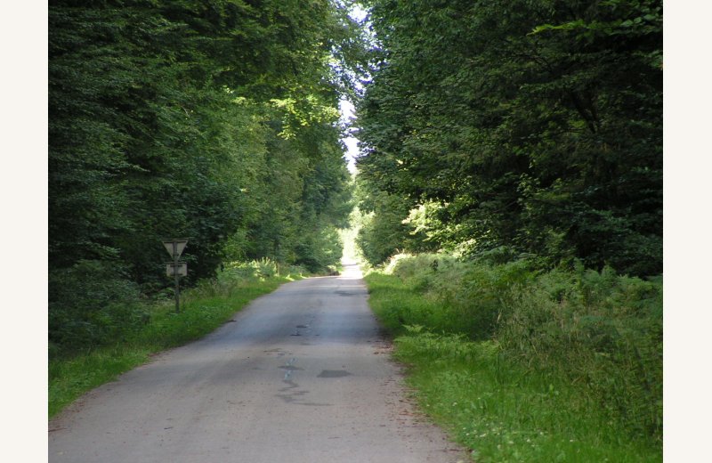 Forêt de Crécy