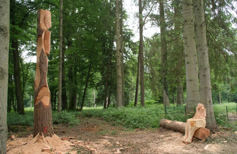 Sculptures en forêt de Crécy