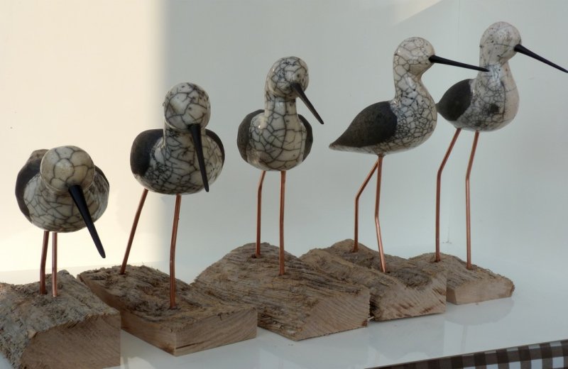 DAMIENS oiseauxraku otabbevillois somme picardie