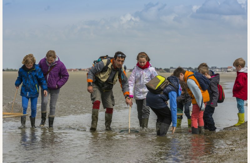 Detectives Maxime Marzi Festival 2015 021-1600x1067