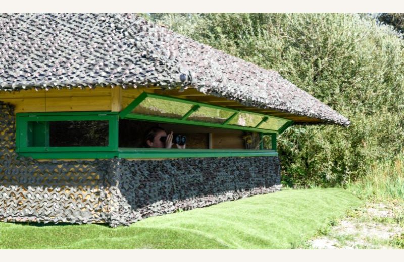 Dimensions photos SIM et site Internet - 1