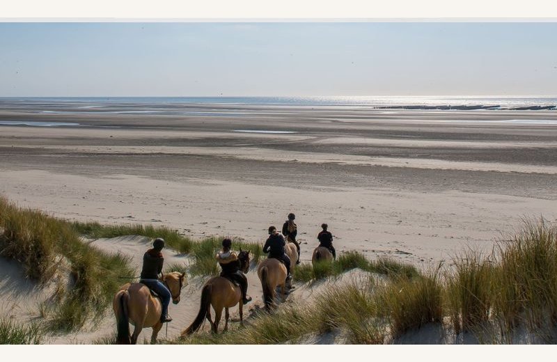 Dimensions photos SIM et site Internet - 1