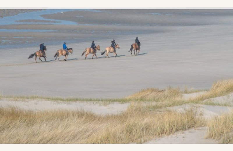 Dimensions photos SIM et site Internet - 1