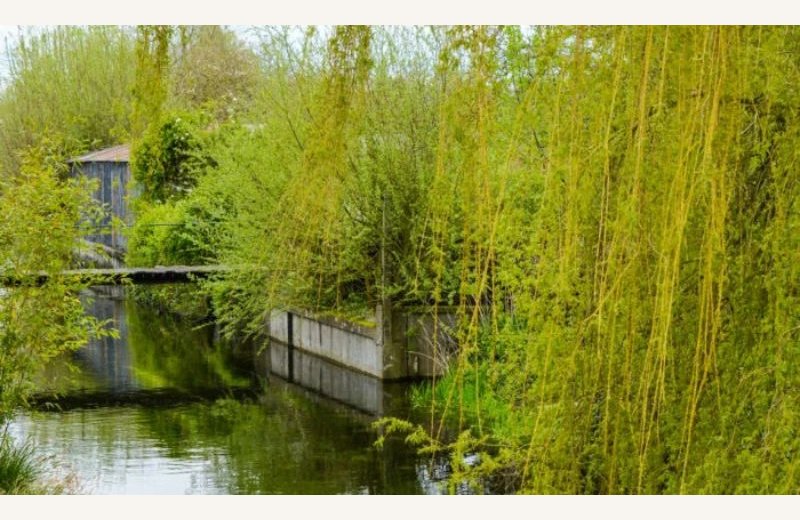 Dimensions photos SIM et site Internet - 1