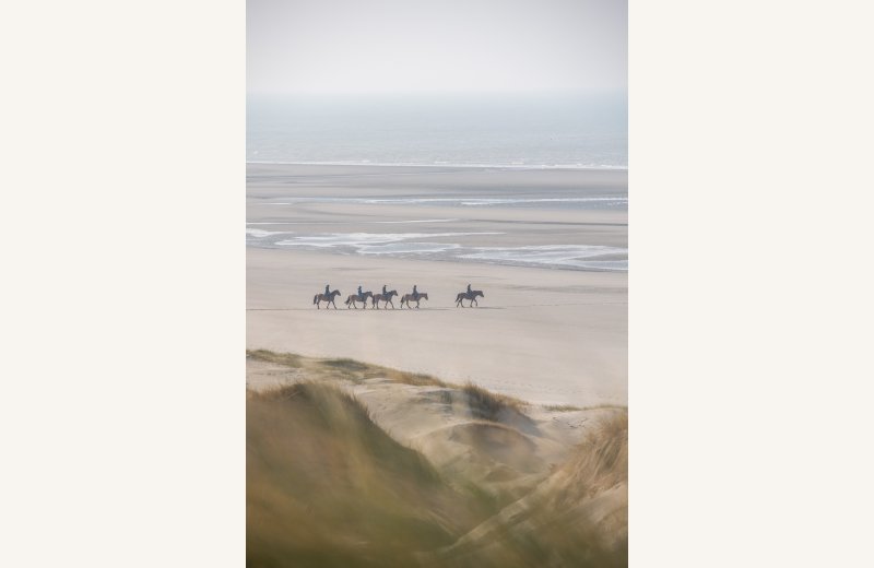 Balade baie de Somme