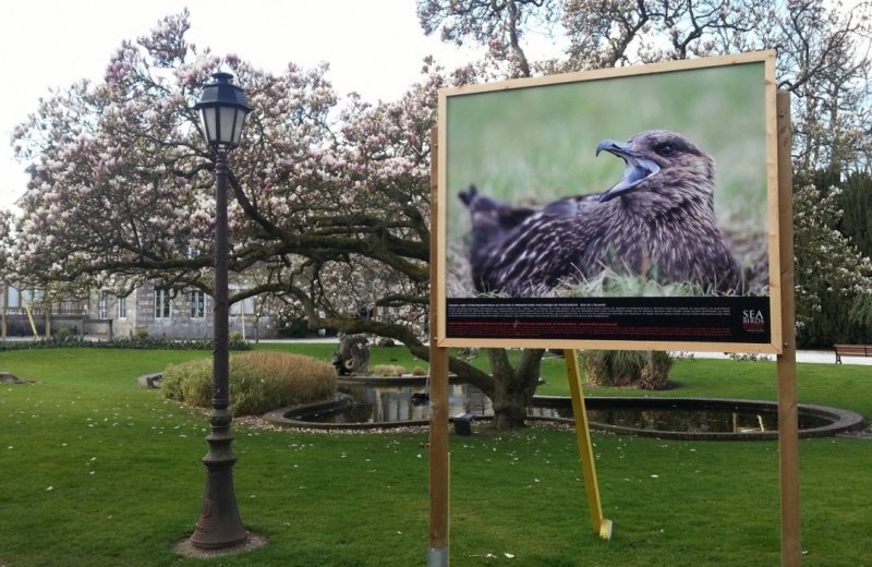 Exposition photo festival de l'Oiseau