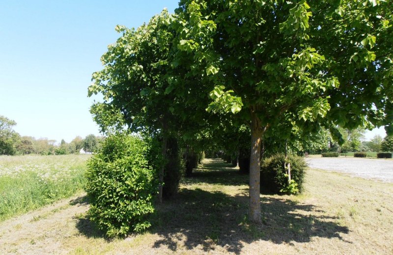 Favières parking-église©ADRT80 DMarechal