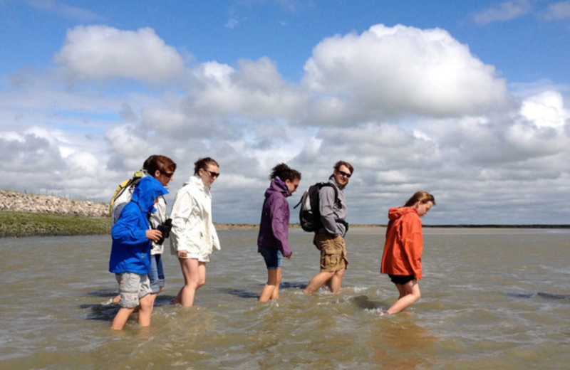 Traversées de la Baie groupe
