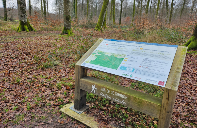 Boucles randonnnée forêt de Crécy