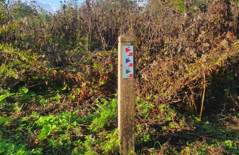 Panneaux randonnées marais Long