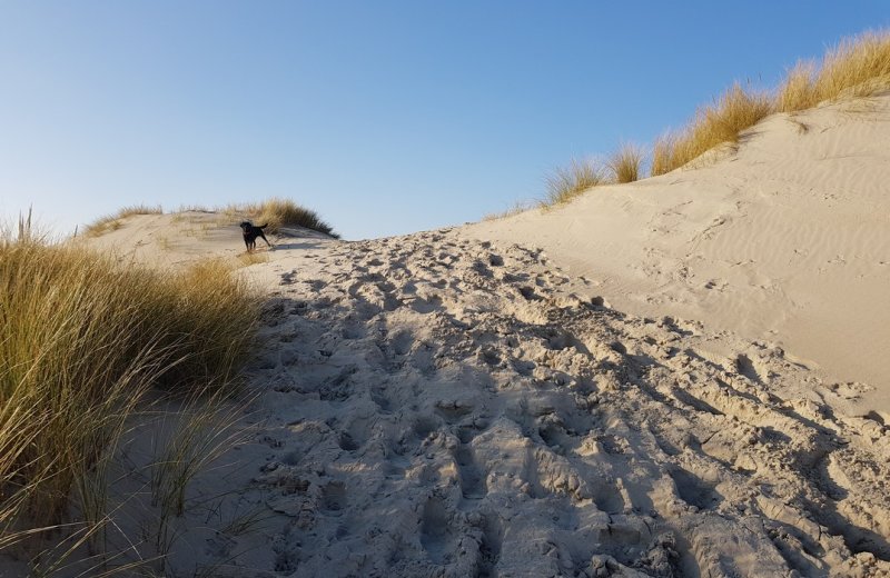 Fort-Mahon-PLage sentier-pecheurs-dune©SommeTourisme-DM