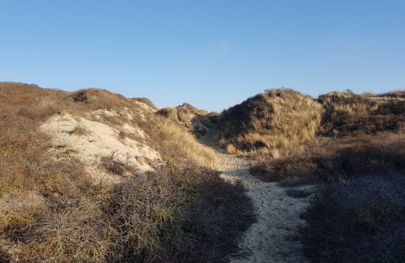 Fort-Mahon-PLage sentier-pecheurs-dunes©SommeTourisme-DM